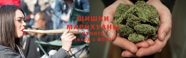 ПСИЛОЦИБИНОВЫЕ ГРИБЫ Янаул
