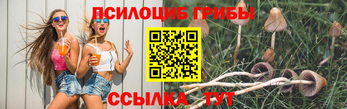 Кинель  Псилоцибиновые грибы ЛСД  Галлюциногенные грибы MAGIC MUSHROOMS  Вход с VPN 
