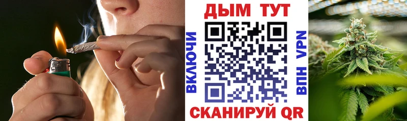 наркотики  Кинель  Бошки Шишки ГИДРОПОН 